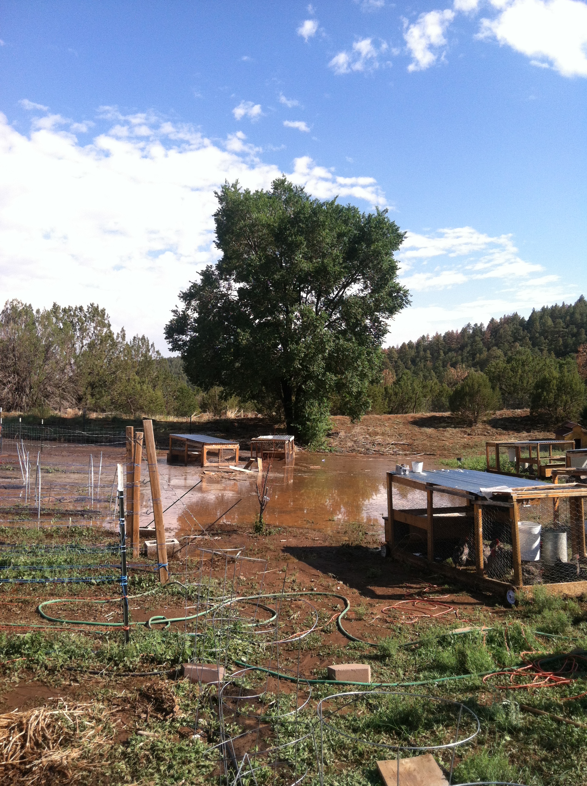 Bella Bodhi: Before And After The Devastating Leak